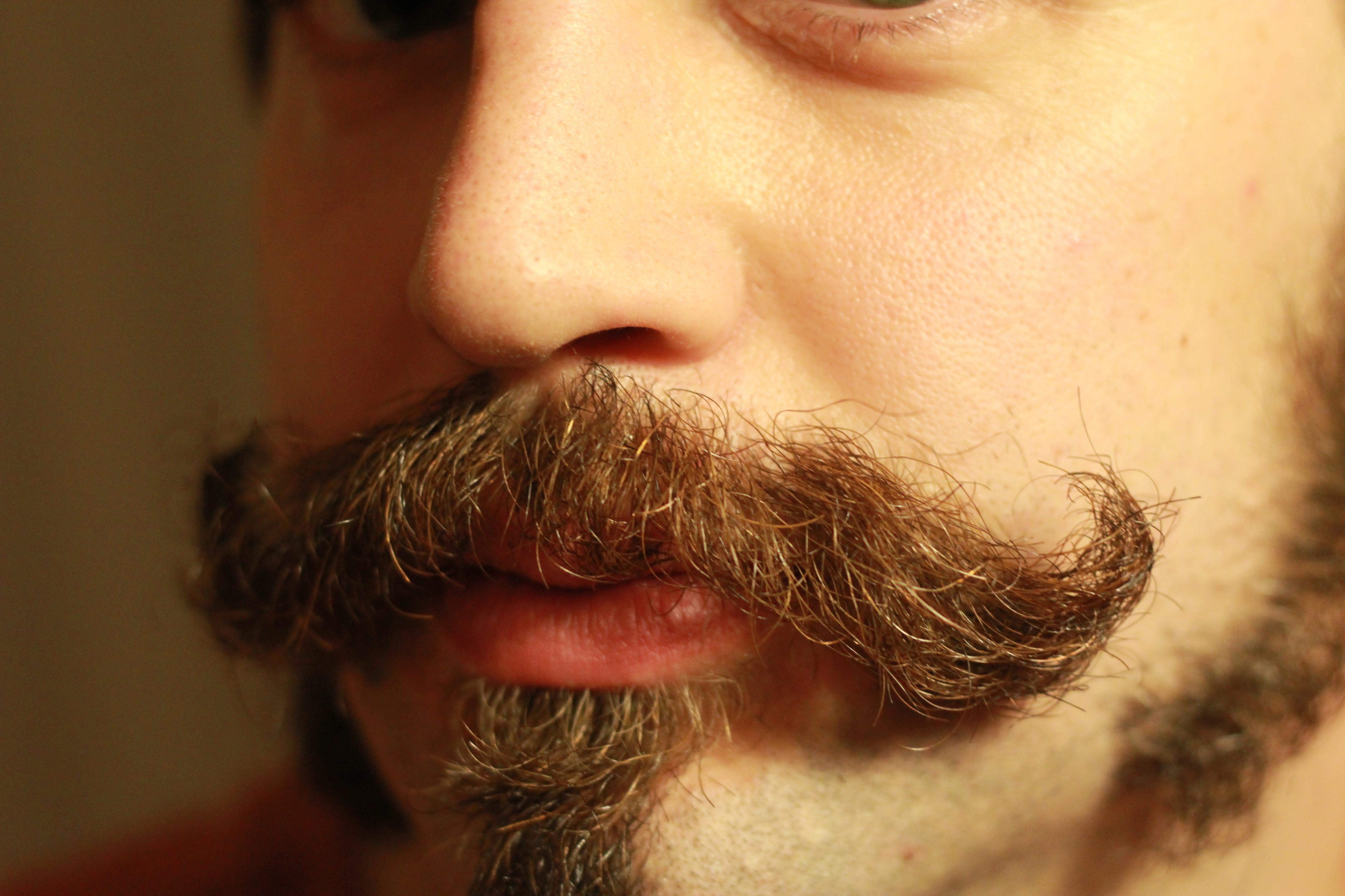 Matt's nice mustache